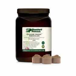 Glucose Assist Chocolate Chocolate 1.65 Lbs 1